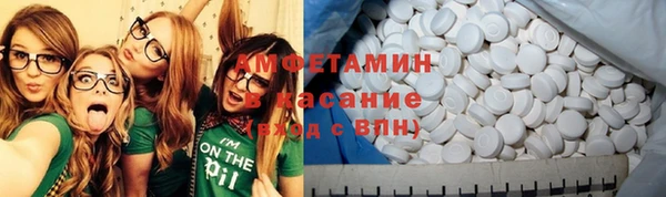 хмурый Каменка