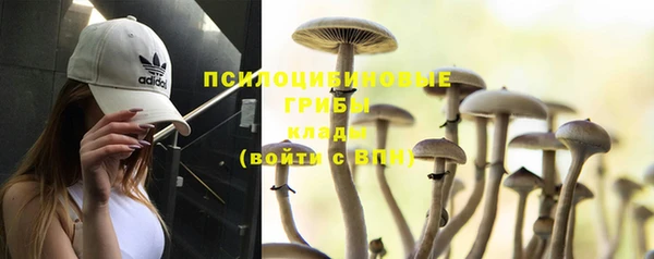 хмурый Каменка