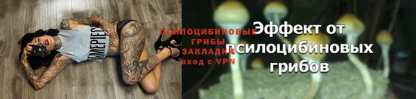 хмурый Каменка