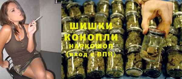 хмурый Каменка