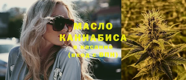 хмурый Каменка