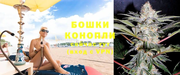 хмурый Каменка