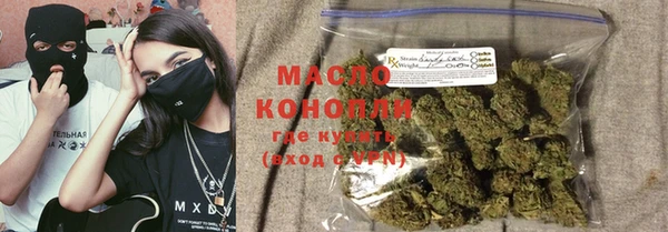 хмурый Каменка