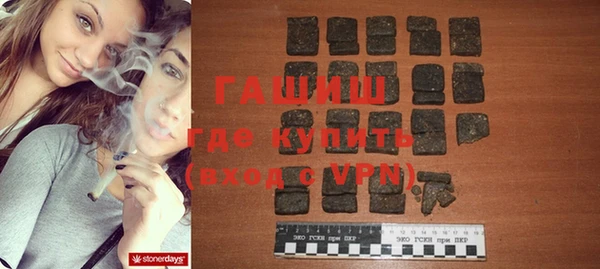 хмурый Каменка